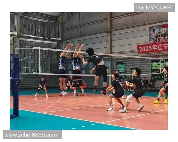 上海排球队的蜕变之旅：从传统强队到现代竞技先锋的奥运追梦之路