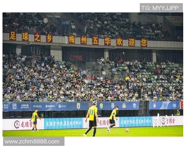 侯姓足球明星的辉煌历程与成就分析