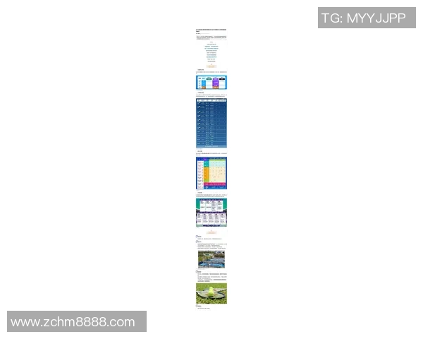 上海网球队创历史新高网球状态排名再创新高峰